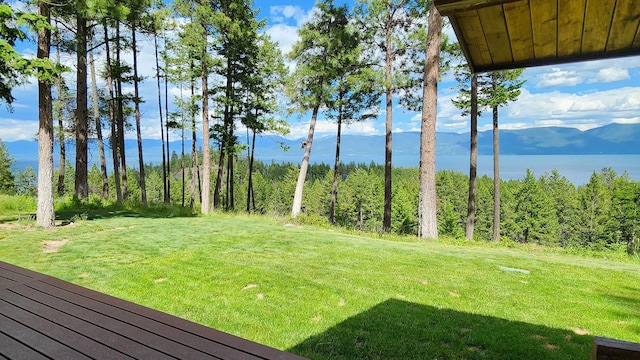 view of yard featuring a mountain view