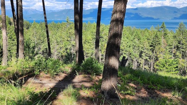 mountain view featuring a wooded view