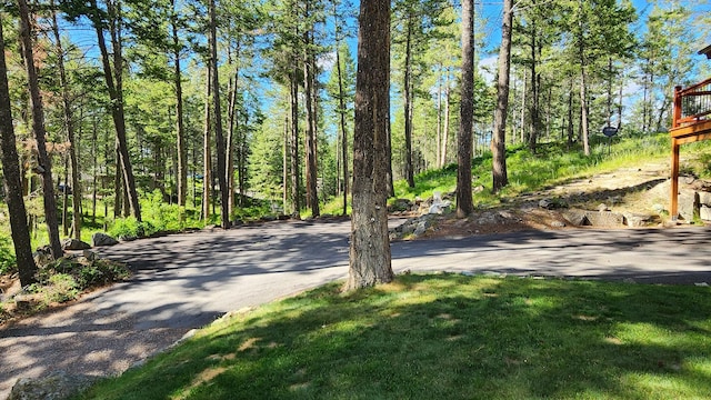 view of street with a wooded view