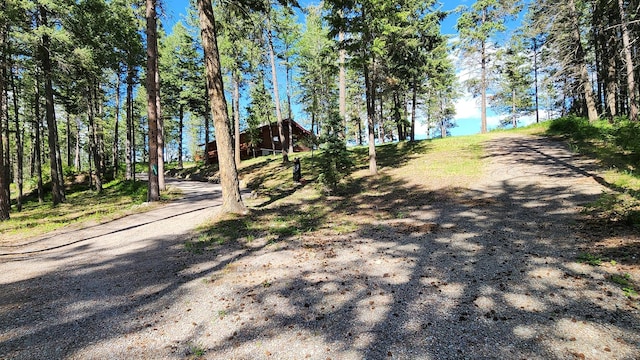 view of street featuring driveway