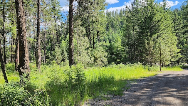 view of nature featuring a forest view