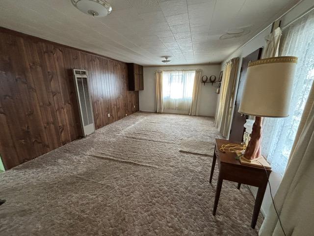 unfurnished room featuring carpet and wood walls