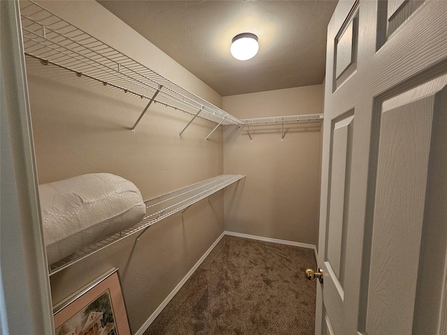 spacious closet featuring carpet flooring