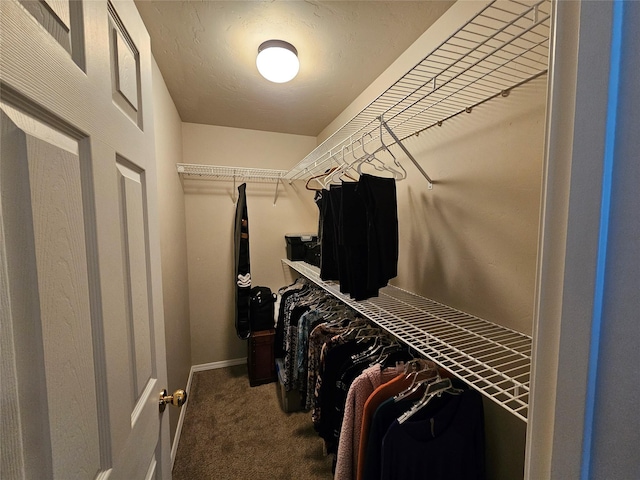 spacious closet featuring carpet floors