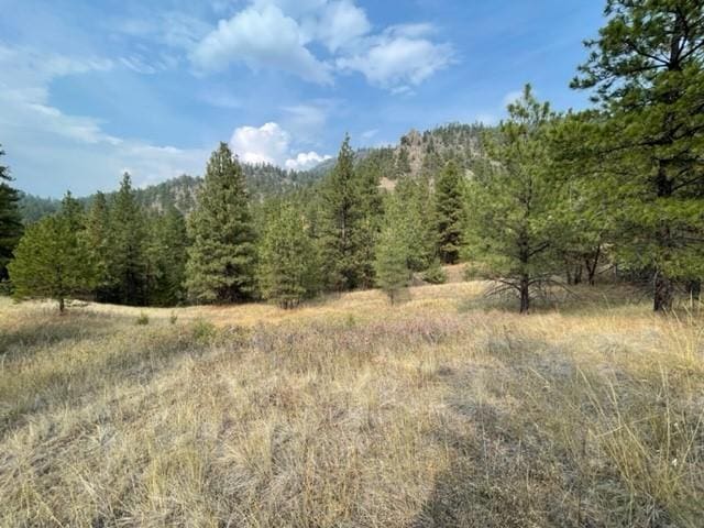 TBD Mountain Home Lane, Cascade MT, 59421 land for sale