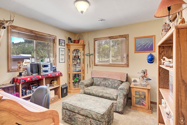 7415 Wildcat St, Helena, MT 59602 - view of carpeted office space