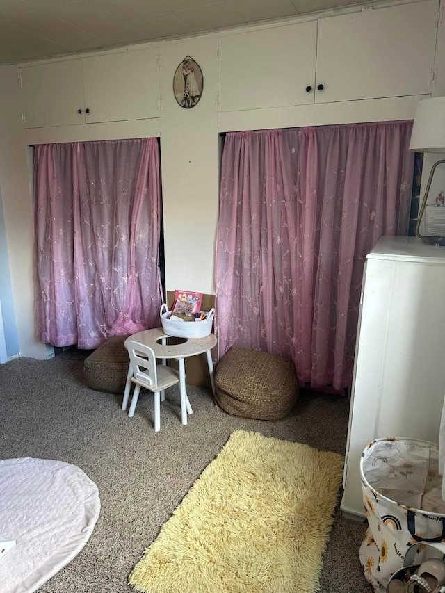 carpeted dining space featuring washer / clothes dryer