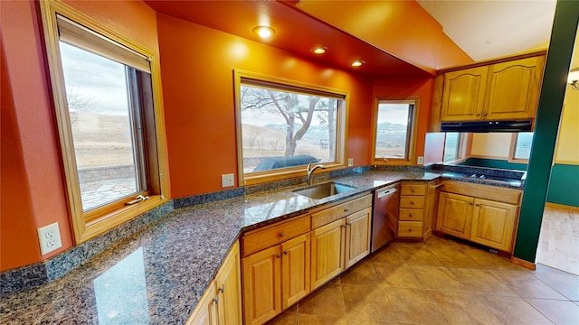 kitchen featuring a healthy amount of sunlight, lofted ceiling, a sink, under cabinet range hood, and dishwasher