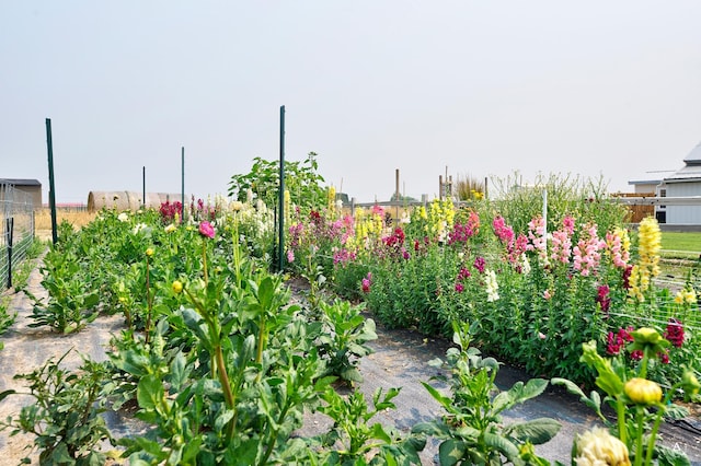 view of yard with a vegetable garden and fence