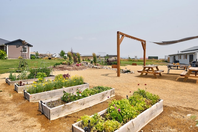 view of yard with a vegetable garden