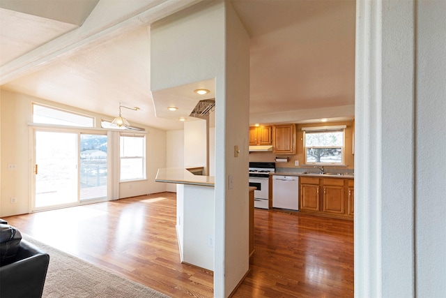 kitchen with white appliances, wood finished floors, lofted ceiling, a sink, and under cabinet range hood