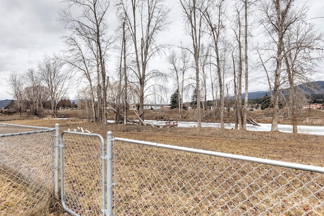 view of yard with a fenced front yard, a mountain view, and a gate