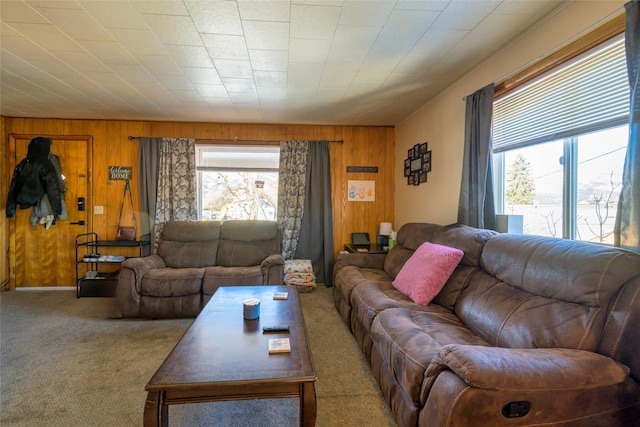 living room featuring carpet floors and wooden walls