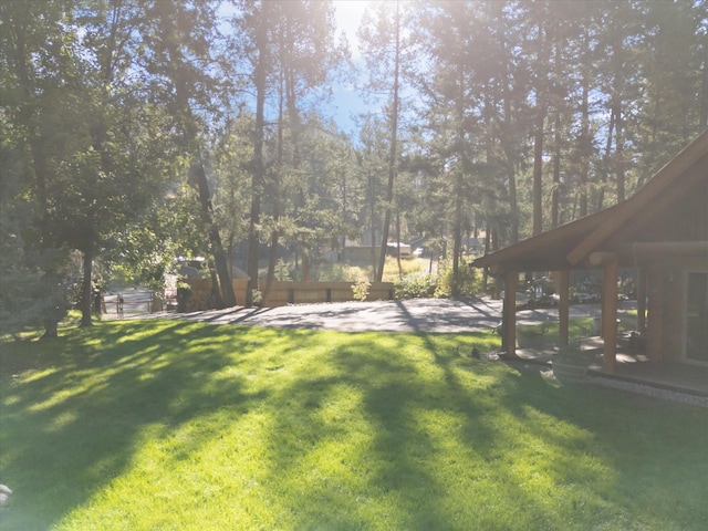 32 Peaceful Ct, Bigfork, MT 59911 - view of grassy yard