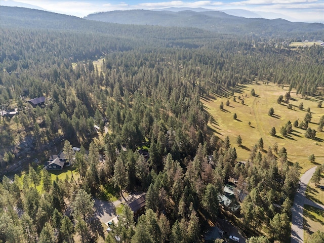 32 Peaceful Ct, Bigfork, MT 59911 - view of property location featuring a forest and a mountainous background