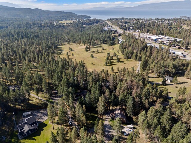 32 Peaceful Ct, Bigfork, MT 59911 - aerial overview of property's location featuring a heavily wooded area and a mountainous background