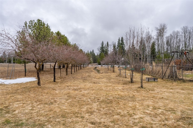 view of yard with a rural view