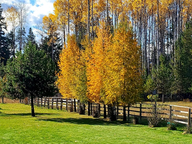 surrounding community featuring a lawn and fence