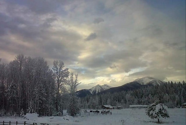 view of mountain feature with a wooded view