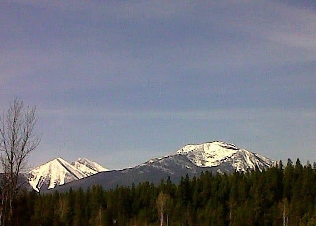 view of mountain feature with a forest view