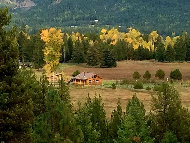 aerial view featuring a rural view and a forest view