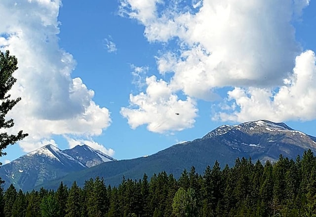 mountain view featuring a forest view