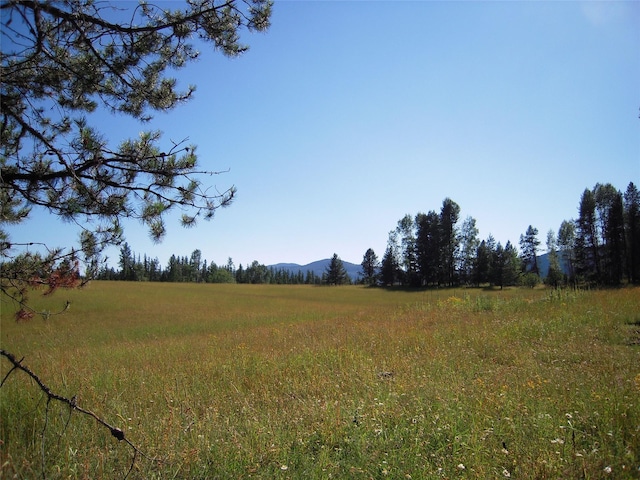 Listing photo 2 for Nhn Timber Meadows Lane, Trout Creek MT 59874