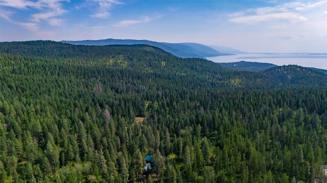 588 Ranch Rd, Bigfork, MT 59911 - view of mountain backdrop featuring a heavily wooded area