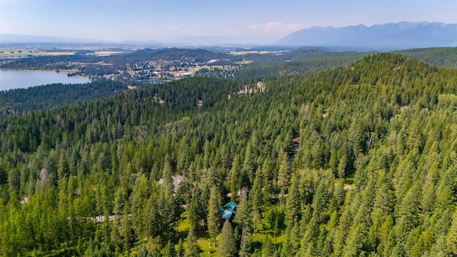 birds eye view of property with a wooded view and a water and mountain view