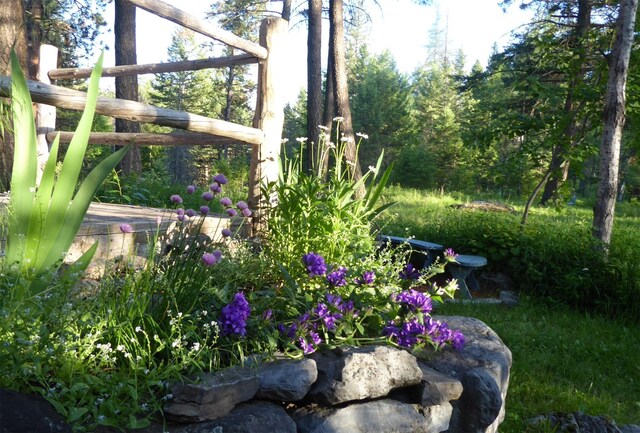 588 Ranch Rd, Bigfork, MT 59911 - view of yard