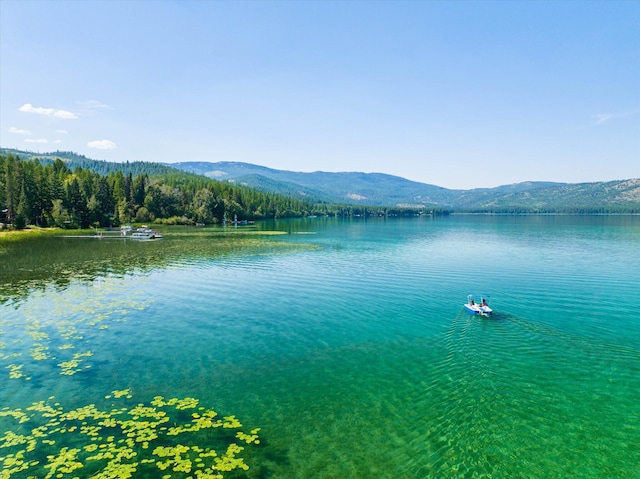 5985 N Ashley Lake Rd, Kila, MT 59920