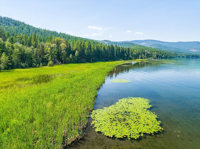 5985 N Ashley Lake Rd, Kila, MT 59920