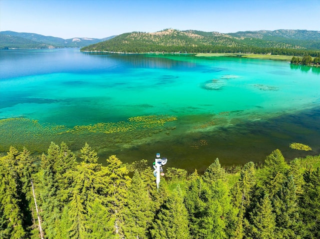5985 N Ashley Lake Rd, Kila, MT 59920