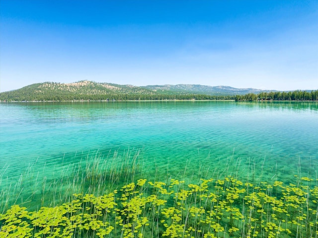 5985 N Ashley Lake Rd, Kila, MT 59920