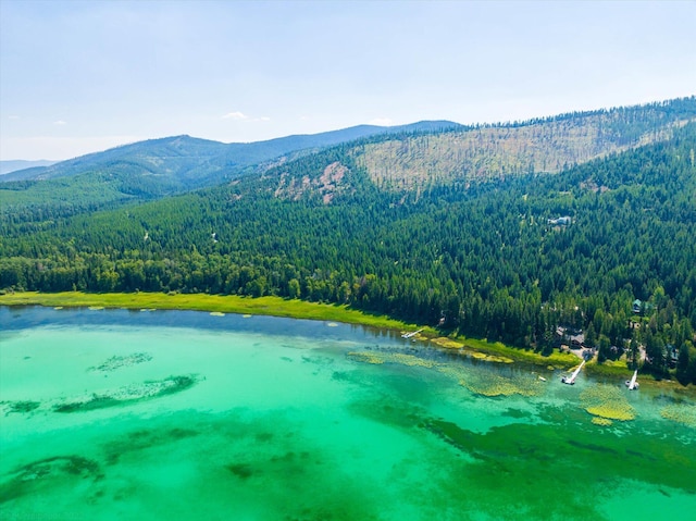 5985 N Ashley Lake Rd, Kila, MT 59920