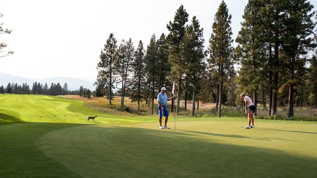 1615 Wilderness Club Dr, Eureka, MT 59917 - view of property's community with a lawn, a mountain view, and view of golf course