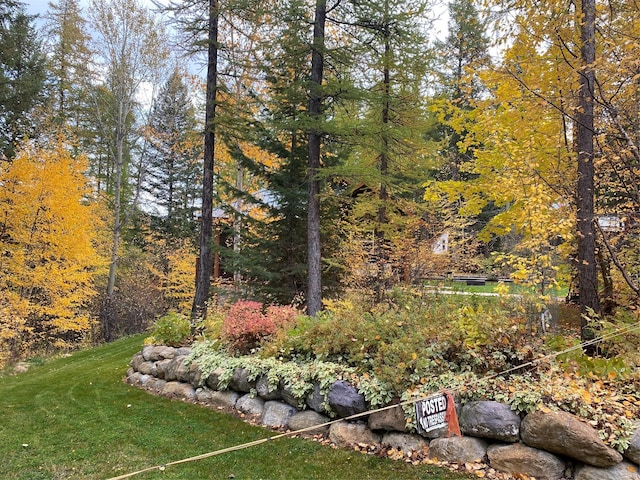 view of yard featuring a wooded view