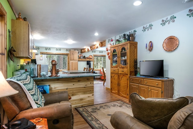 living area with recessed lighting and wood finished floors