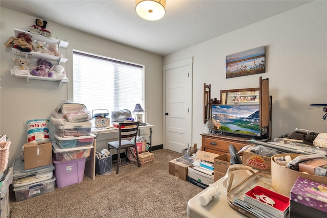 view of carpeted office