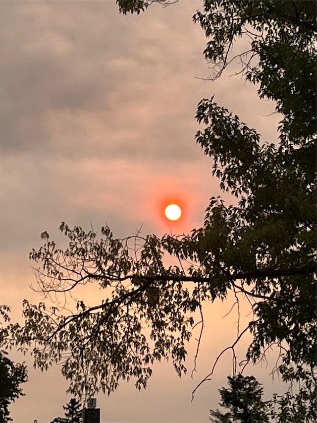 view of nature at dusk