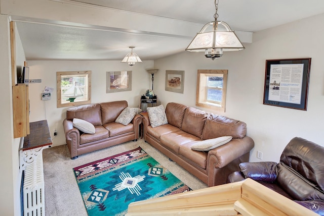 carpeted living area with a healthy amount of sunlight