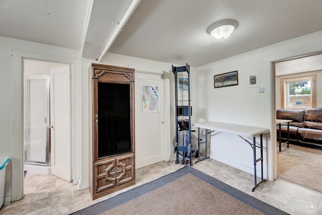 interior space featuring carpet and a textured ceiling