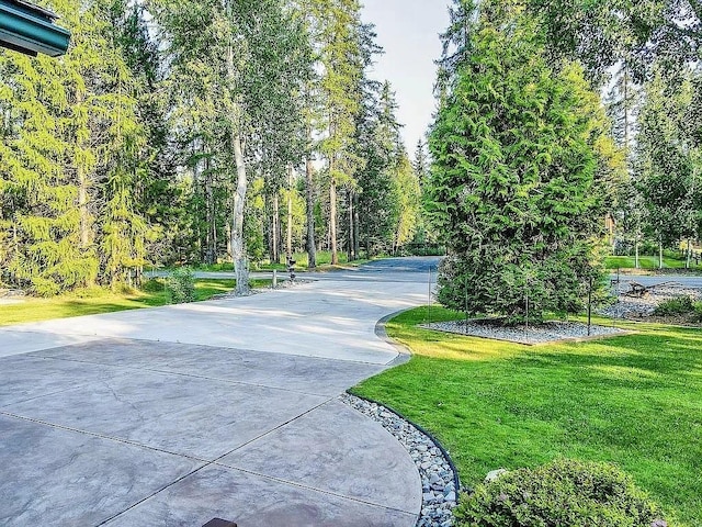 view of property's community featuring concrete driveway and a lawn