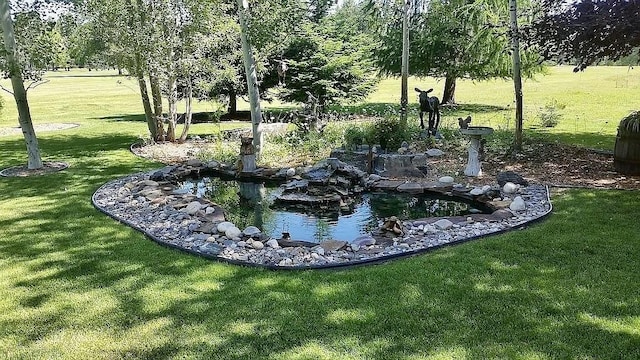 view of yard featuring a small pond