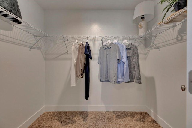 view of walk in closet