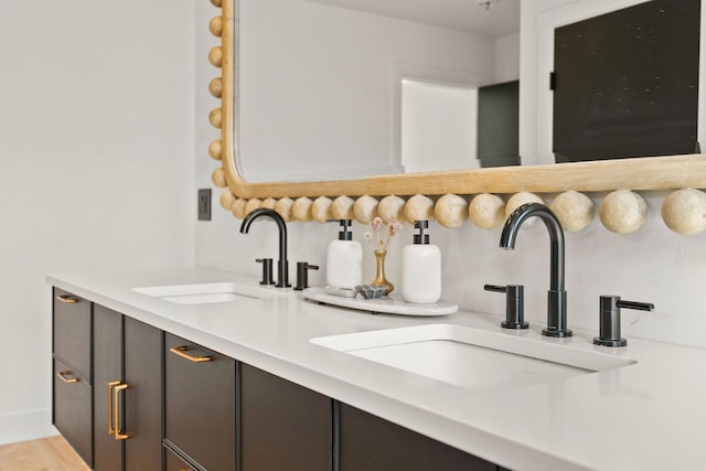 bathroom featuring double vanity, wood finished floors, and a sink