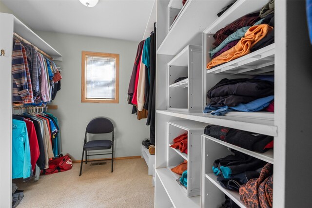 spacious closet featuring carpet flooring