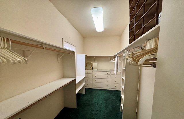 spacious closet with dark carpet