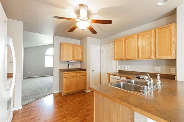 kitchen with a sink, light wood-type flooring, ceiling fan, and light brown cabinets