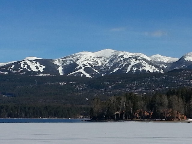 view of mountain feature featuring a wooded view